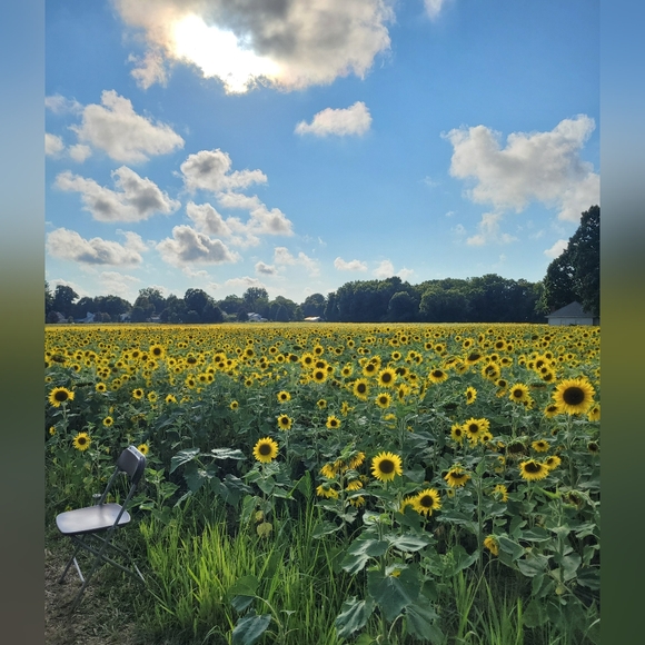 Hi! 👋 - Picture 4 of 4